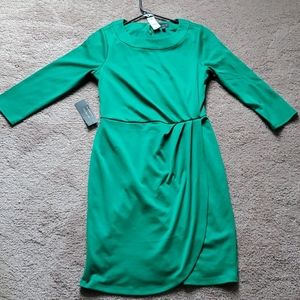 The Limited Green Dress Size 6